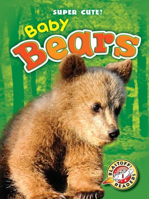 cover image of Baby Bears